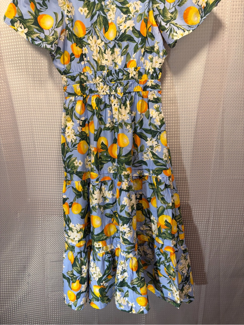 Anthropologie Blue Lemon-Print Button midi dress - Picture 8 of 12